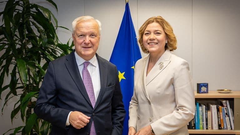 Suomen Pankin pääjohtaja Olli Rehn ja Henna Virkkunen EU-lipun edessä komission tapaamisessa