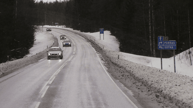 Tekoäly paljasti, milloin hirvieläimet ylittävät tien