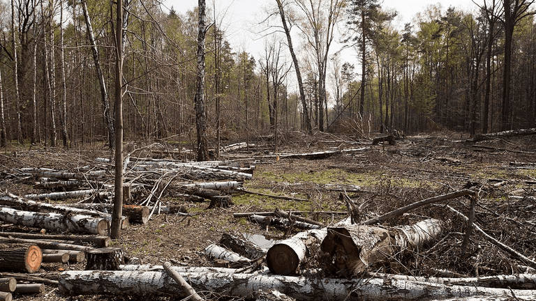 Vihreät datakeskuksille: luonto ensin, verot Suomeen